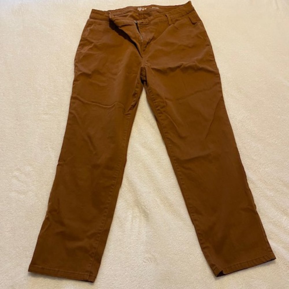 Style & Co. Brown Slim Leg Jeans